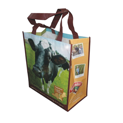 Shopping bag